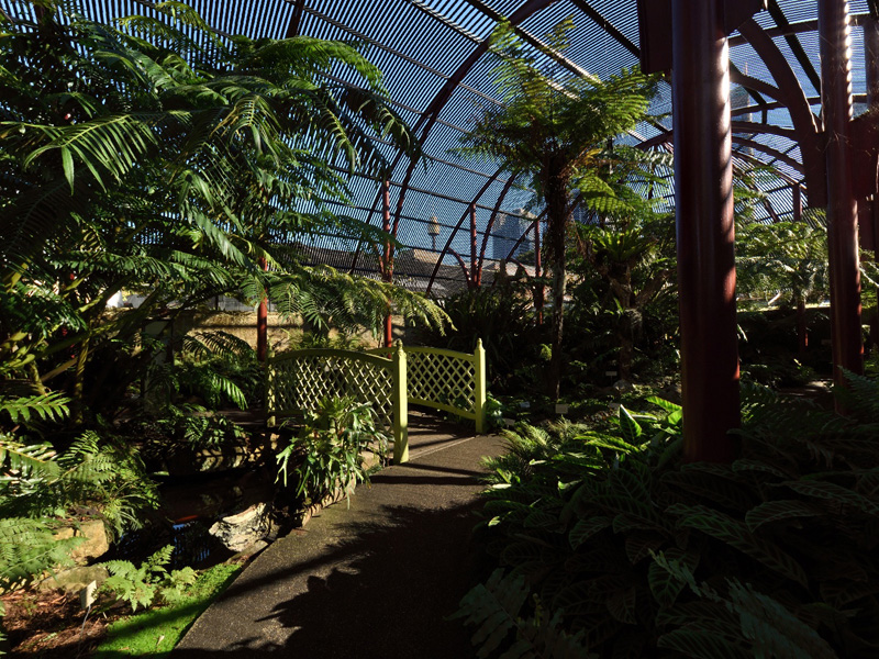 The Fernhouse at Royal Botanic Gardens Sydney in 360°