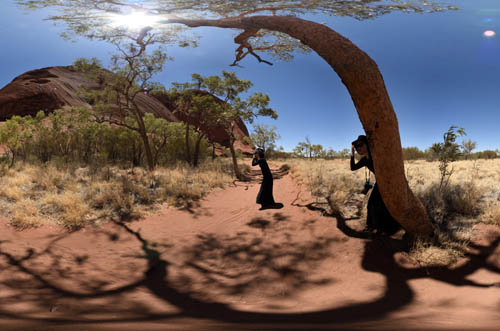 Kuniya Walk beside the rock, strong light, red sand, scrub and trees Uluru. Virtual Tour of Uluru-Kata Tjuta National Park and Sails Resort